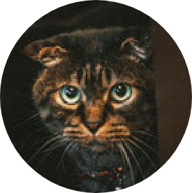 Baron